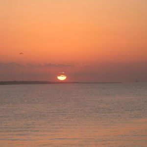 Meet your Posher, Janett yvonne